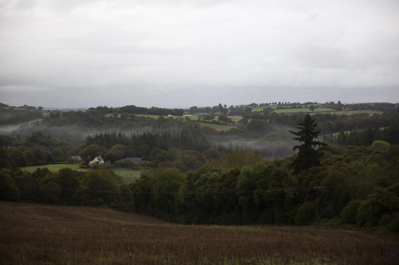 La Colline Des Renards Lejlighed Locmaria-Berrien Eksteriør billede